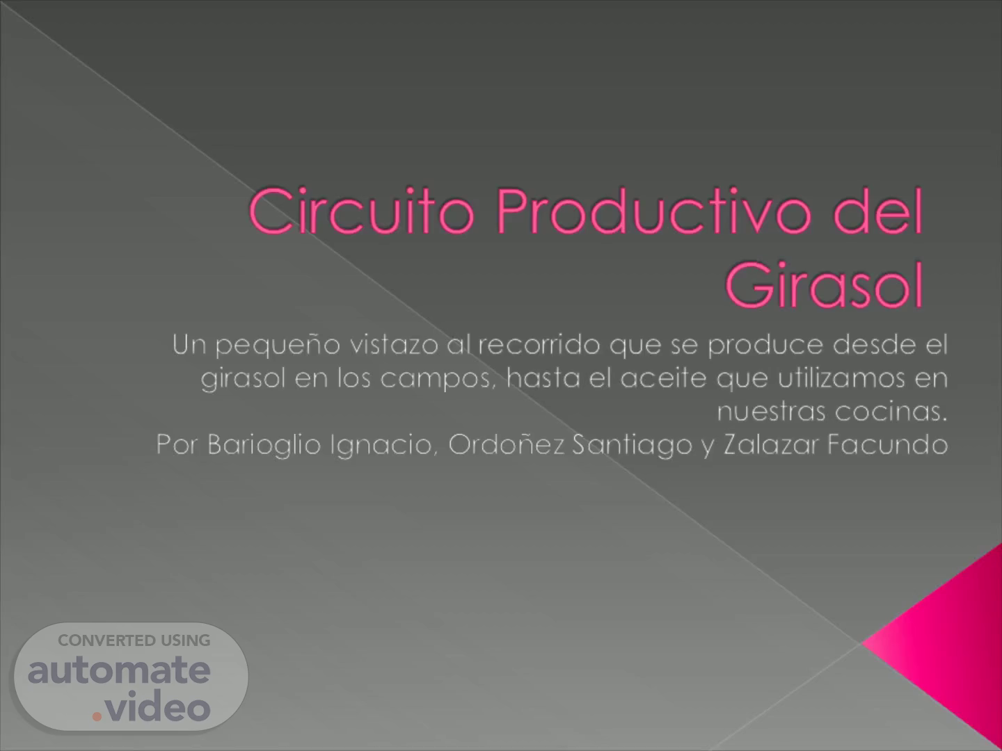 Circuito Productivo del Girasol 